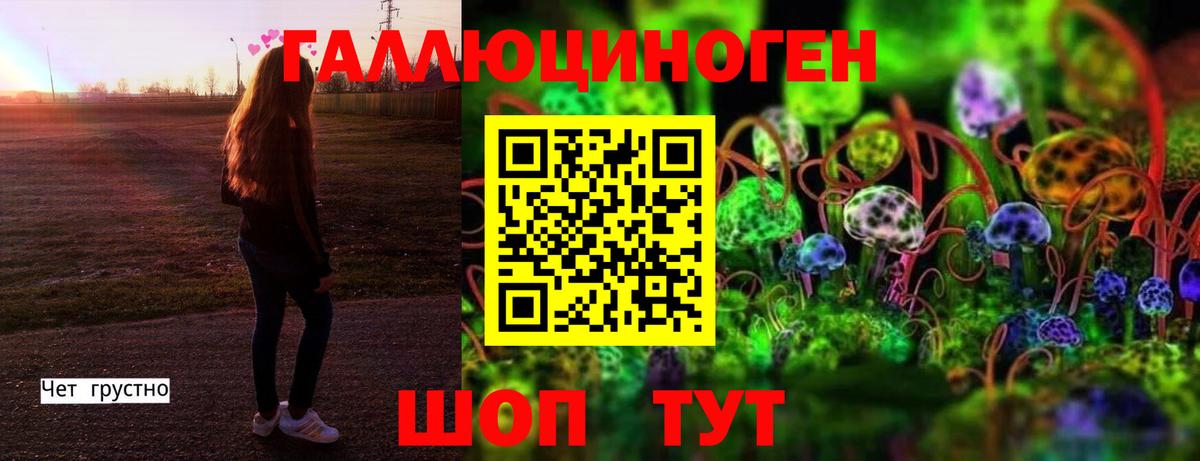 Псилоцибиновые грибы GOLDEN TEACHER  Вход с VPN  Краснокаменск  Псилоцибиновые грибы ЛСД 