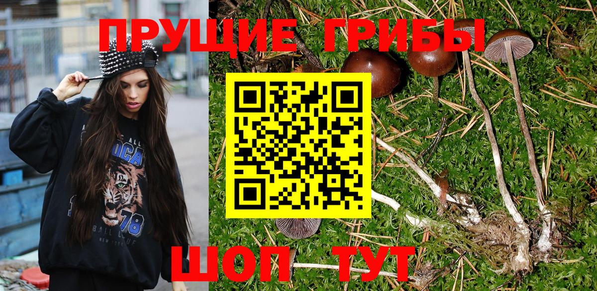Псилоцибиновые грибы MAGIC MUSHROOMS Краснокаменск